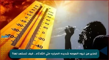 تحذير من ذروة الموجة شديدة الحرارة حتى الثلاثاء.. كيف تستعد لها؟